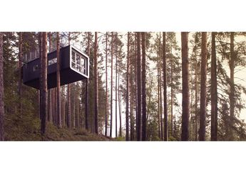 Hotel Ini Dibangun di Atas Pohon di Tengah Hutan, Intip, yuk!