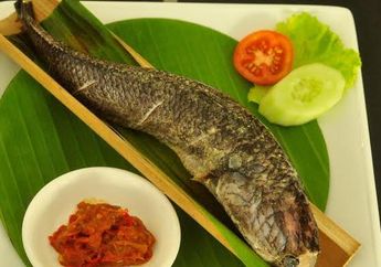 Ikan Senggung, Wajib Dicicipi Saat ke Jambi