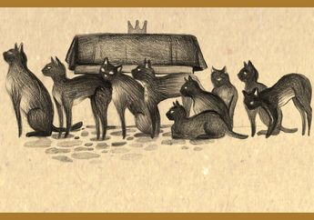 Misteri Raja Kucing