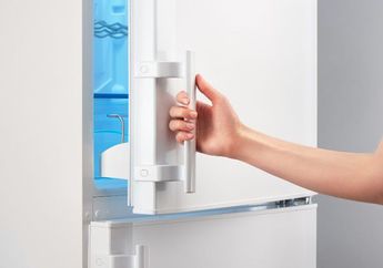 Fungsi Lain Freezer yang Jarang Diketahui
