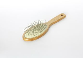 Beda Rambut, Beda Pula Sisir yang Digunakan, Sudahkah Kamu Menggunakan Sisir yang Tepat?