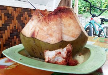 Serba-serbi Kelapa, Tanaman yang Bisa Berbuah 13 Kali dalam Satu Tahun