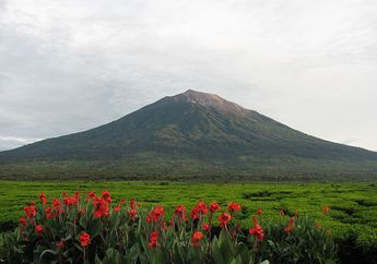Gunung Tertinggi Apa saja yang Ada di Indonesia? Cari Tahu, Yuk!