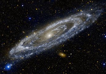 Galaksi Andromeda, Galaksi Tetangga Bima Sakti