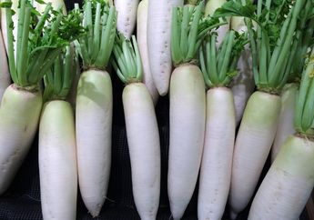 Sayur ini Jarang Dikonsumsi, Padahal Memiliki Banyak Manfaat bagi Tubuh