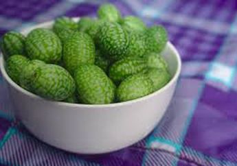 Cucamelon, Satu Jenis Buah yang Memiliki 4 Ciri Buah Lain