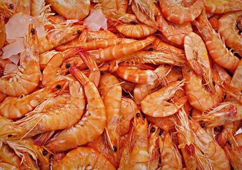 Inilah Makanan yang Bisa Kita Dapatkan di Laut