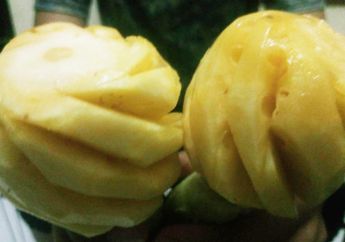Meski Kecil, Nanas Madu Tak Kalah Segar dan Bernutrisi, lo!