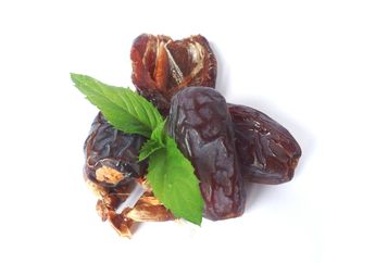 Ternyata, Kurma Sudah Ada Sejak 50 Juta Tahun Lalu