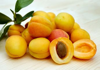 Aprikot, Buah Kaya Manfaat yang Mirip dengan Buah Peach