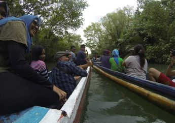Pulau Peucang, Surga Terpencil di Tepi Barat Pulau Jawa