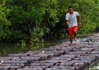 Tradisi Unik Kepulauan Meranti, Berlari di Atas Tual Sagu