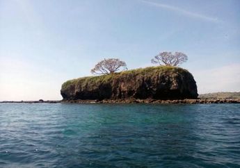 Pulau Ular Laut di Nusa Tenggara Barat