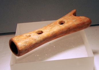4 Alat Musik Tertua di Dunia, Ada yang Terbuat dari Kulit Gajah
