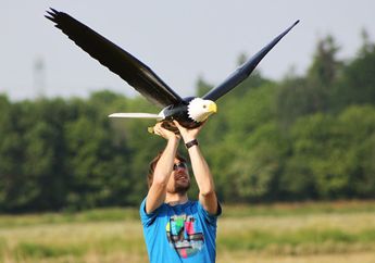Robird, Petugas Pengaman Landasan Terbang