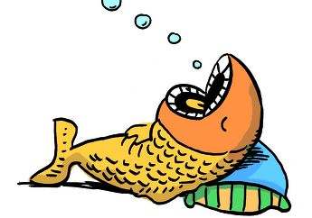 Bagaimana Cara Ikan Tidur?