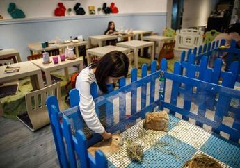 Rabbitland, Kafe Kelinci di Hong Kong