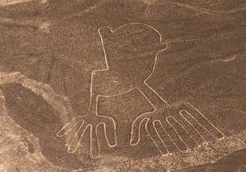 Misteri Garis Nazca, Pola Berbentuk Hewan