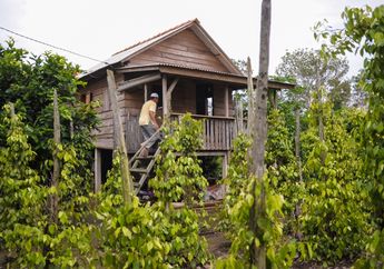 Kebun Sahang di Tanah Habang