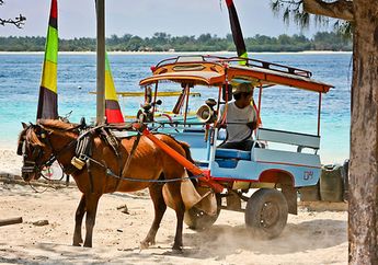 Cidomo, Delman dari Lombok