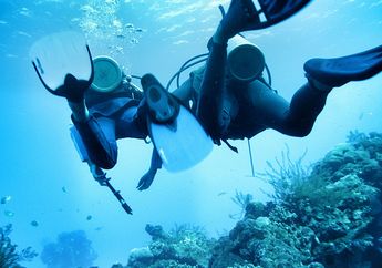 Scuba Diving, Olah Raga Bawah Laut yang Menyenangkan