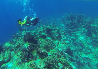 Pesona Gunung Api Bawah Laut