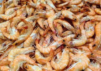 Makanan Laut, Tak Cuma Ikan