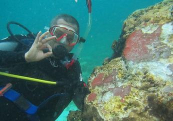 Saat Kapal Pesiar Tak Sengaja Merusak Terumbu Karang