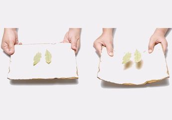 Menyulap Daun Bisa Melayang