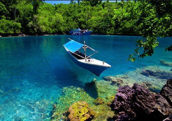 5 Wisata Bawah Laut di Indonesia