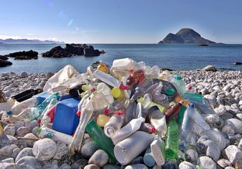 Sampah Plastik, Membahayakan Ekosistem Laut