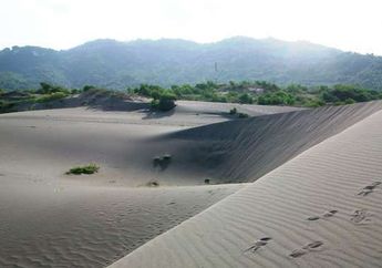 Gurun Pasir di Indonesia