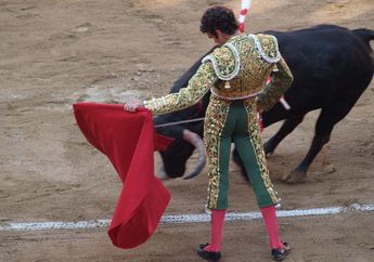 Mengapa Banteng Marah Ketika Melihat Kain Merah?