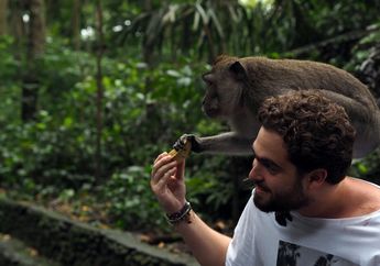 Bercengkrama Bersama Kera di Monkey Forest