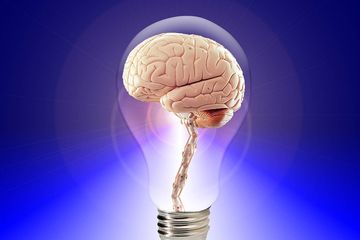 Otak manusia gambar Bagian Otak