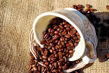 Sering Ditemukan di Toko Parfum, Sebenarnya Apa Kegunaan Biji Kopi?