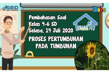Berita Pertumbuhan Pada Tumbuhan Terbaru Hari Ini Bobo<script async src=