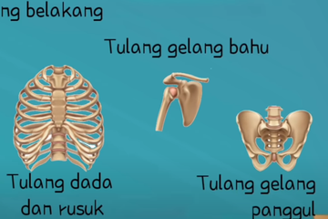 Langkah Langkah Pembuatan Model Sederhana Alat Gerak Manusia Berupa Wayang Semua Halaman Bobo