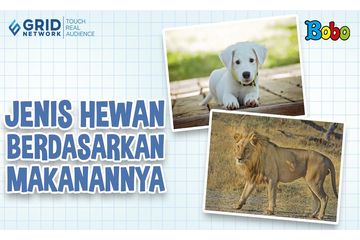 3 Kelompok Jenis Hewan Berdasarkan Makanan Pengertian Dan Contohnya Bobo