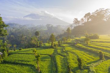 Apa yang dimaksud kegiatan ekonomi agraris berilah contohnya