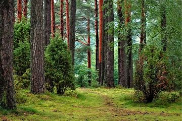 Apa Saja Kegiatan Manusia Yang Bisa Merusak Ekosistem Lingkungan Materi Kelas 4 Sd Tema 9 Semua Halaman Bobo Apa Saja Kegiatan Manusia Yang Bisa Merusak Ekosistem Lingkungan Materi Kelas 4 Sd Tema 9 Semua Halaman Bobo