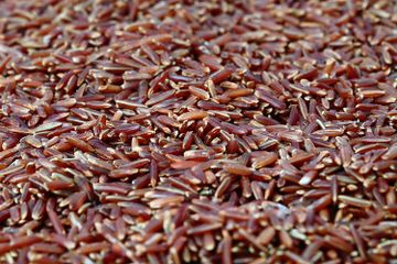 5 Manfaat Mengonsumsi Beras Merah Secara Rutin bagi Kesehatan Tubuh