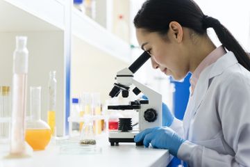 Pengertian, Sifat, Fungsi, dan Jenis-Jenis Enzim di dalam Tubuh