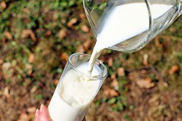 Kandungan nutrisi yang terdapat di dalam susu, bisa membantu tubuh kita menjadi sehat. 