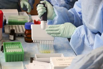 Struktur Virus dan Contoh Penyakit yang Disebabkan oleh Virus