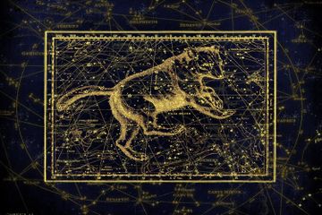 Ursa Major merupakan rasi bintang yang memiliki bentuk seperti beruang besar.