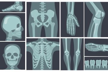 Mengenal Hubungan Antartulang dan Macam-Macam Sendi di dalam Tubuh