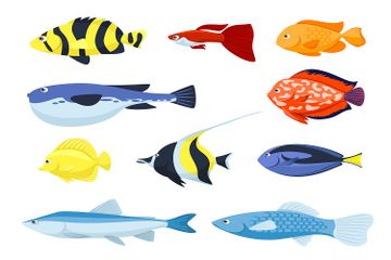 Mengapa  Ada Ikan yang Berenang secara Terbalik?
