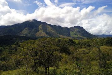 Pulau Sulawesi adalah salah satu pulau besar di Indonesia.