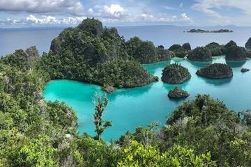Jawab Soal Kelas 5 Tema 1, Kondisi Geografis Pulau Papua Berdasarkan Peta